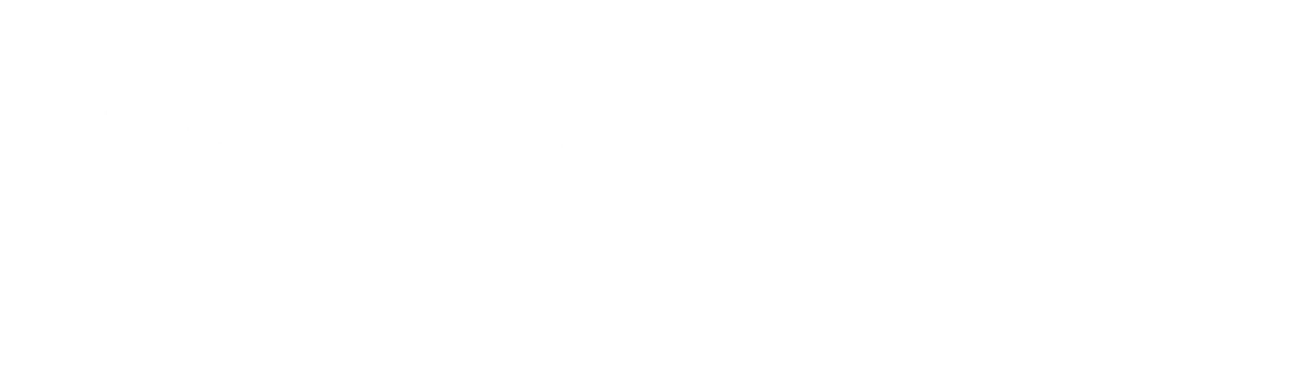 Logo de Roma instituto de estética y medicina en color blanco con figura humana estilizada y nombre de la clínica